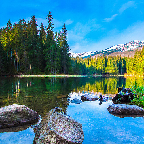 How to Filter Lake Water for Residential Use Culligan Water