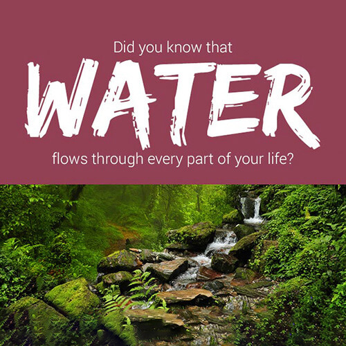World Water Day rainforest
