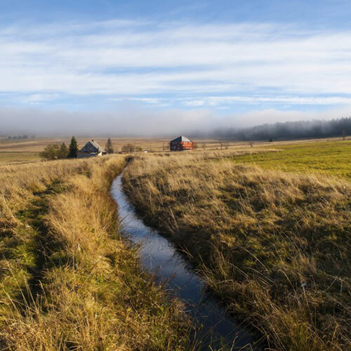 Word Of Advice To Homeowners Nitrates In Water Culligan Water